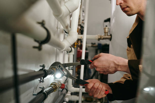 Best Plumbing Inspection Services  in Elk Rapids, MI
